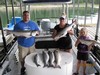 (07/01/2018) - Nice Striped Bass